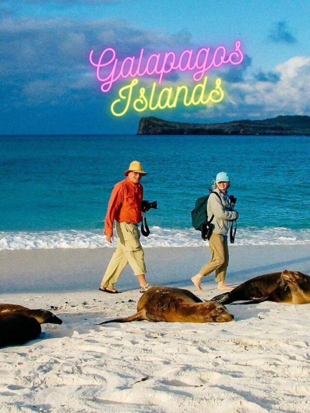 Top 10 Tips for a Sustainable Galapagos Islands Visit